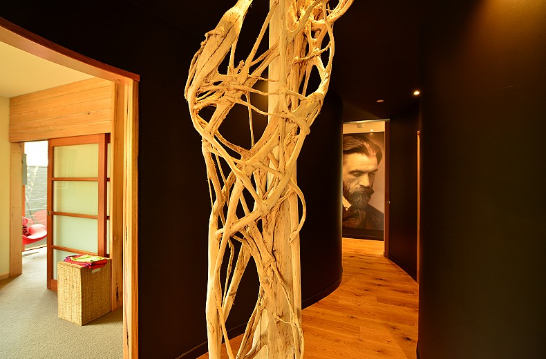 The Winding hallway with a strangler fig in the centre, artistic license for a skeletal form, is opposite the entrance to the main treatment rooms.
